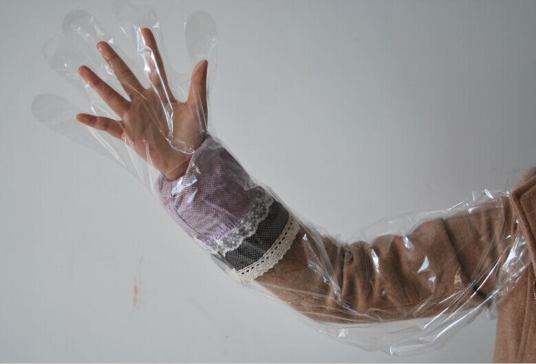 disposable animal obstetric Plastic glove